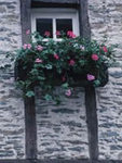 0506hou_4.jpg